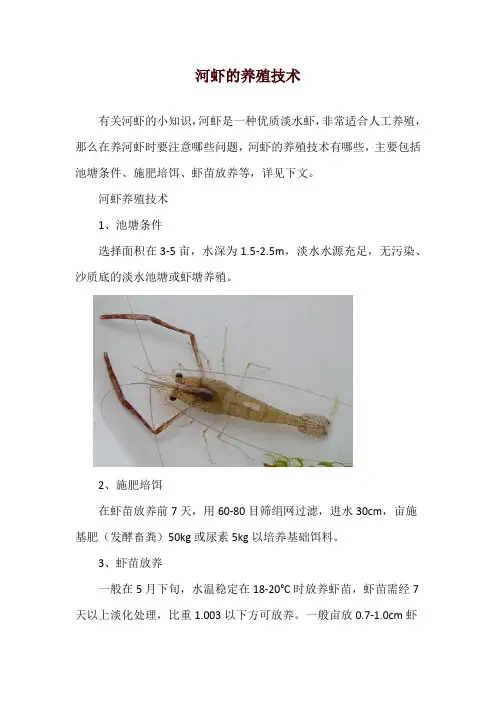 河虾的养殖技术