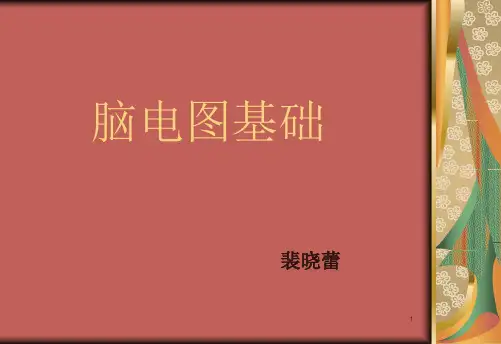 脑电图基础PPT课件