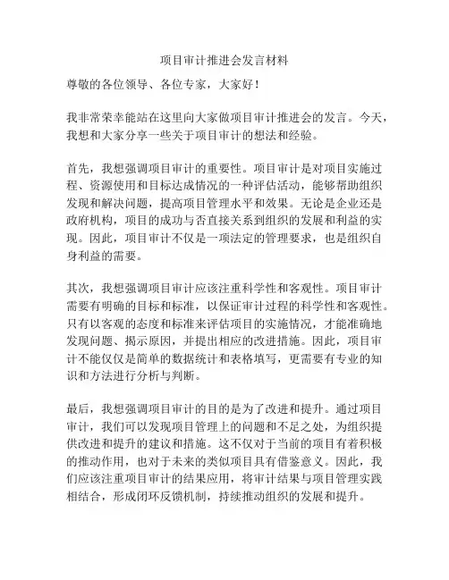 项目审计推进会发言材料