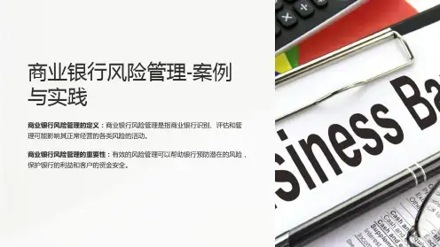 商业银行风险管理-案例与实践