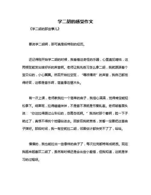 学二胡的感受作文