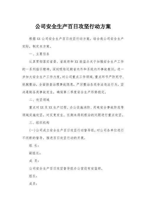 公司安全生产百日攻坚行动方案