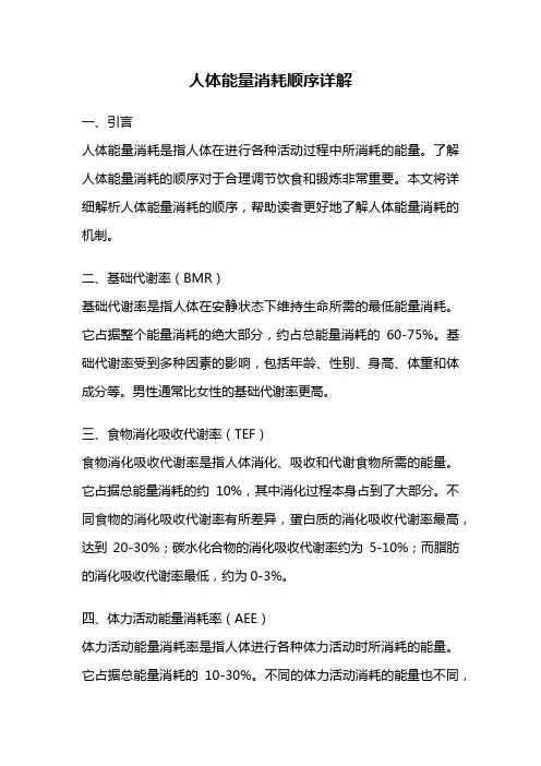 人体能量消耗顺序详解