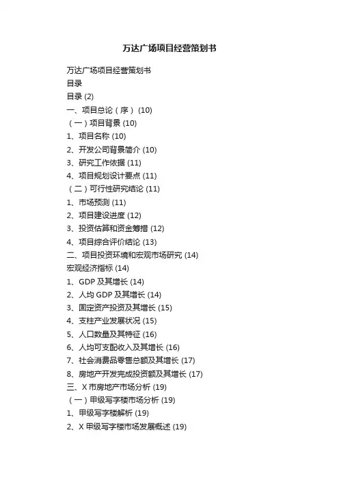 万达广场项目经营策划书