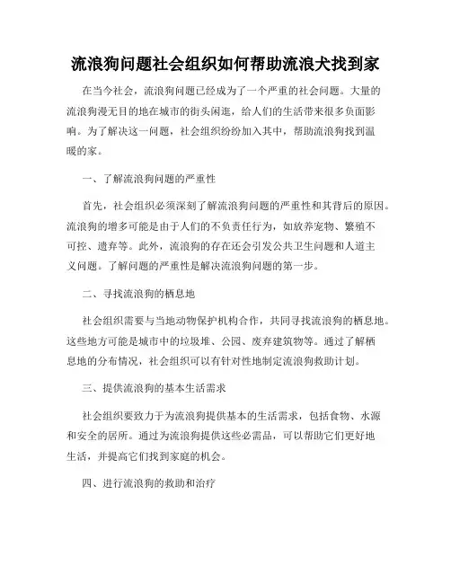 流浪狗问题社会组织如何帮助流浪犬找到家