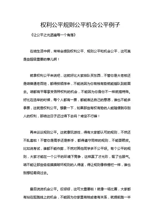 权利公平规则公平机会公平例子