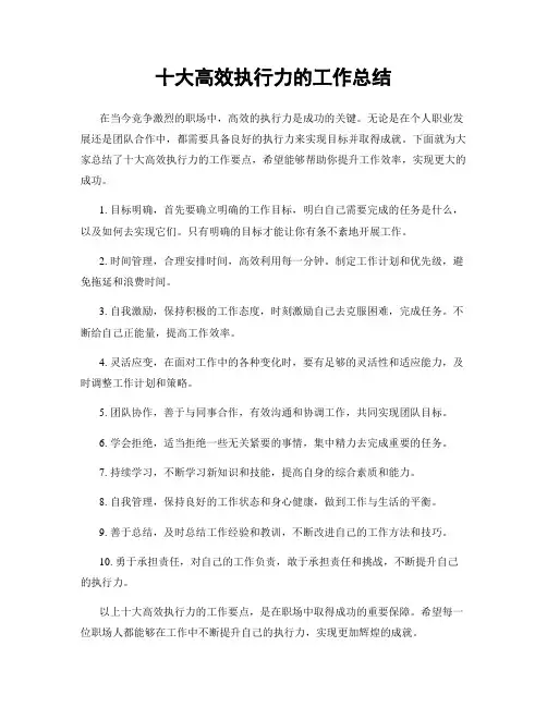 十大高效执行力的工作总结
