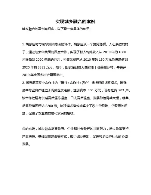 实现城乡融合的案例