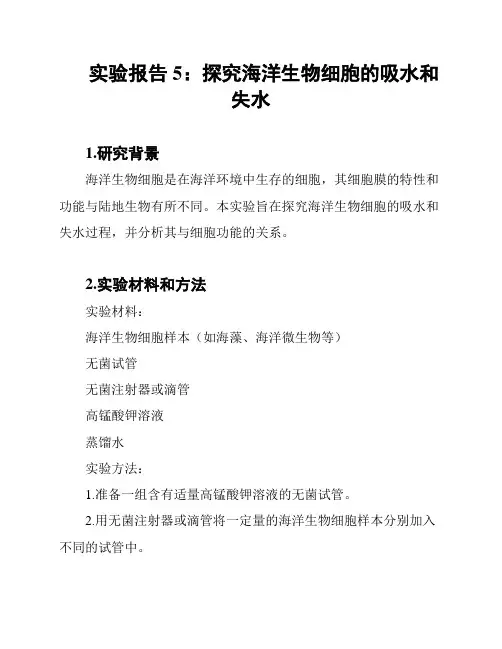 实验报告5：探究海洋生物细胞的吸水和失水
