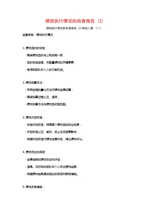 绩效执行情况的自查报告2篇