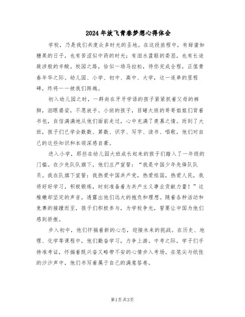 2024年放飞青春梦想心得体会（二篇）