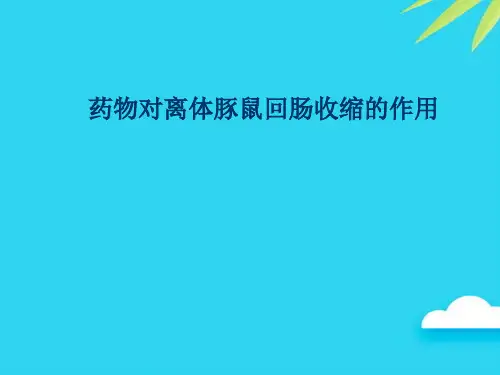 【正式版】药物对离体豚鼠回肠收缩的作用PPT