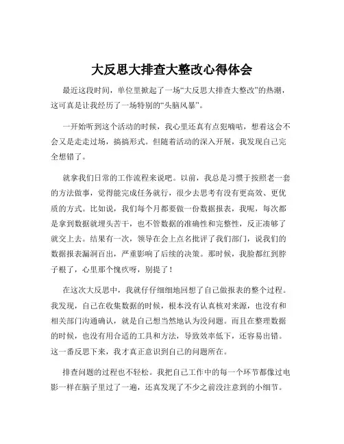 大反思大排查大整改心得体会