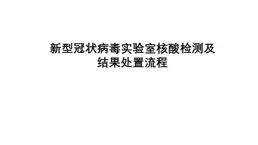 新冠病毒核酸检测流程(新冠病毒核酸检测专题培训课件)
