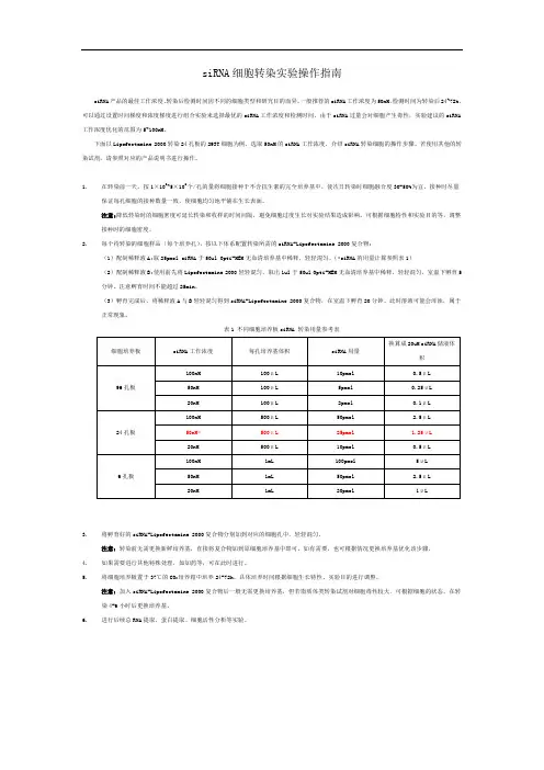 siRNA细胞转染实验操作指南