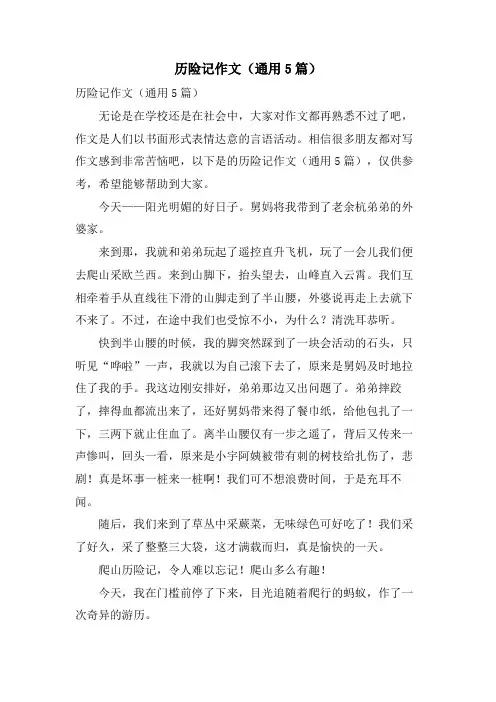 历险记作文(通用5篇)