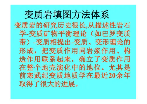 三大岩类填图的思路、方法及野外观察的主要内容-变质岩
