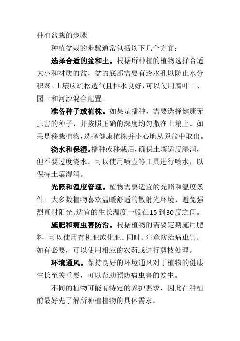 种植盆栽的步骤