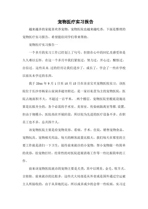宠物医疗实习报告