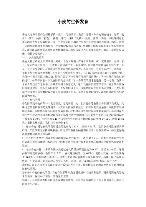 小麦的生长发育