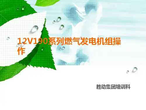 12V190系列燃气发电机组操作.ppt