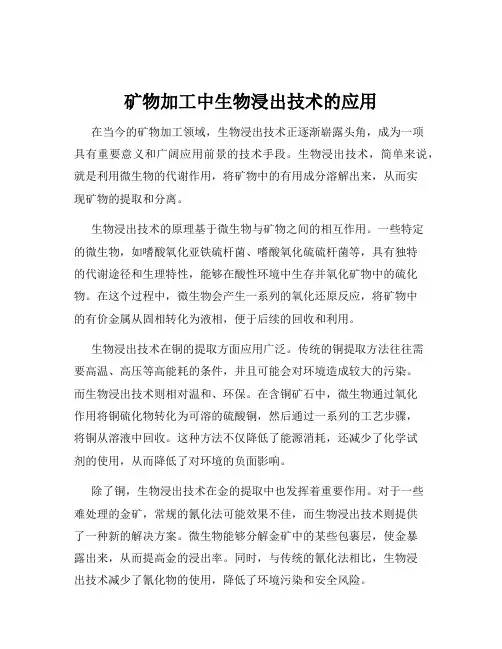 矿物加工中生物浸出技术的应用