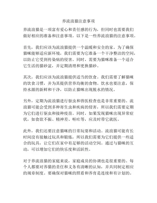 养流浪猫注意事项