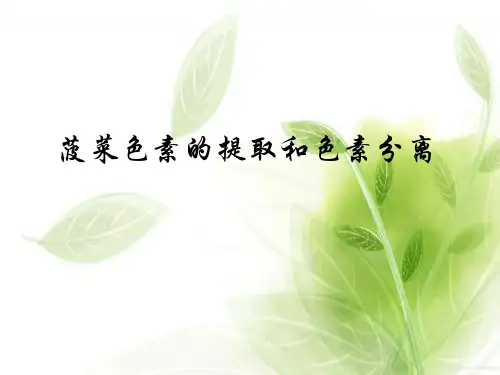 菠菜中色素的提取与分离PPT教学课件