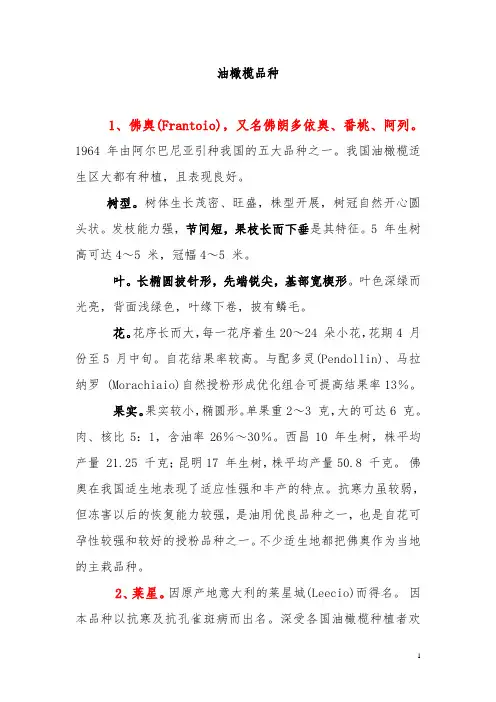 油橄榄品种