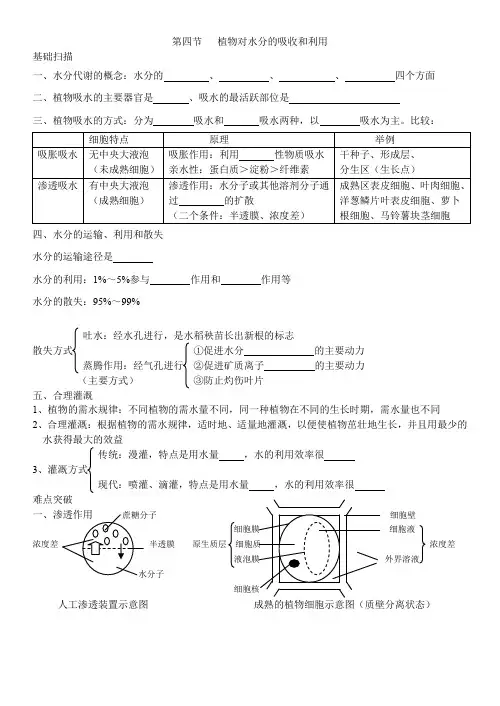 植物对水分的吸收和利用