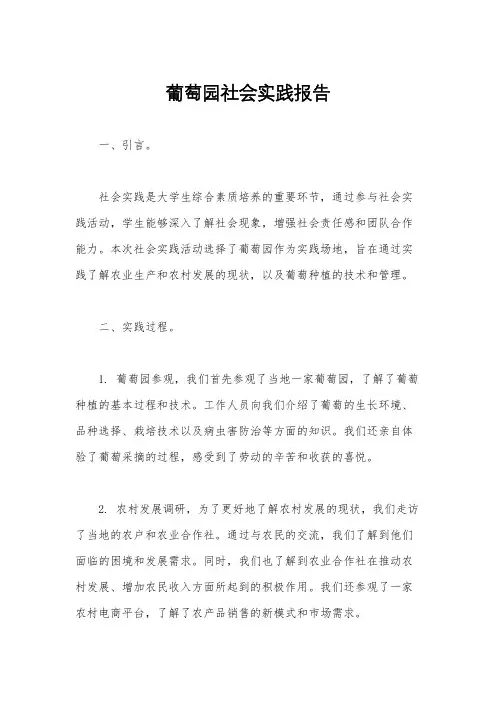 葡萄园社会实践报告