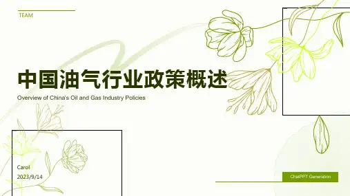 2023年我国及部分省市油气行业相关政策