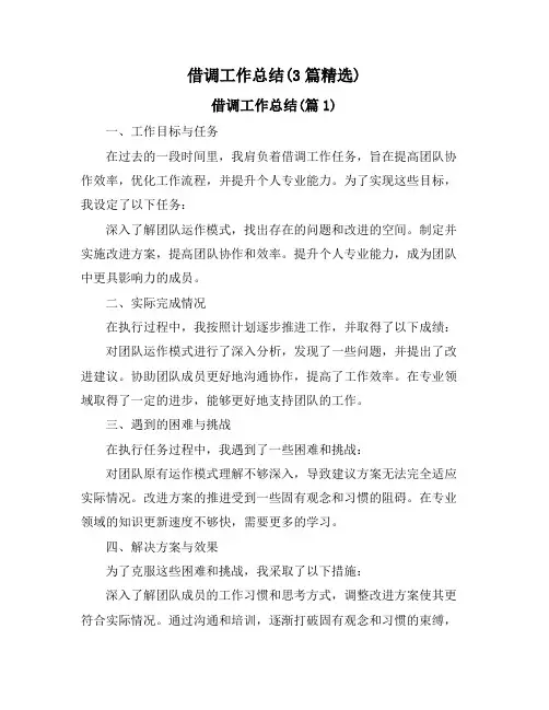 借调工作总结(3篇精选)