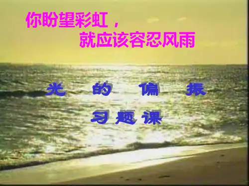26光的偏振习题课1解析