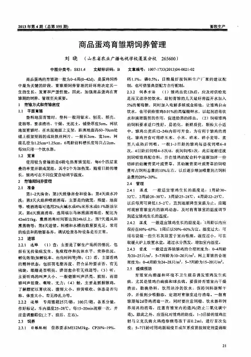 商品蛋鸡育雏期饲养管理