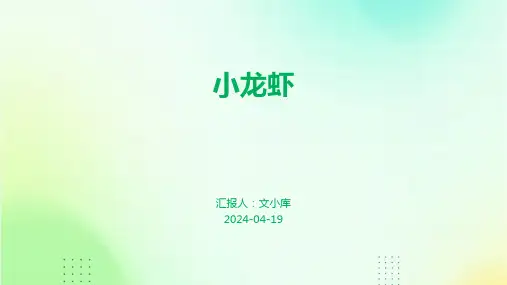小龙虾.pptx