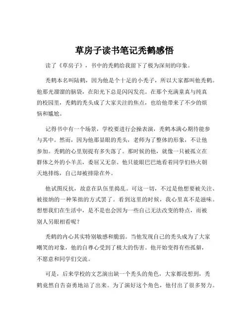 草房子读书笔记秃鹤感悟