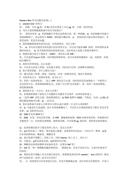 WB常见问题解答