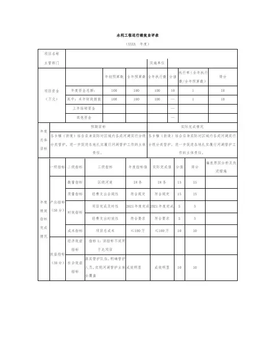 水利工程运行绩效自评表
