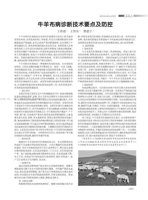 牛羊布病诊断技术要点及防控