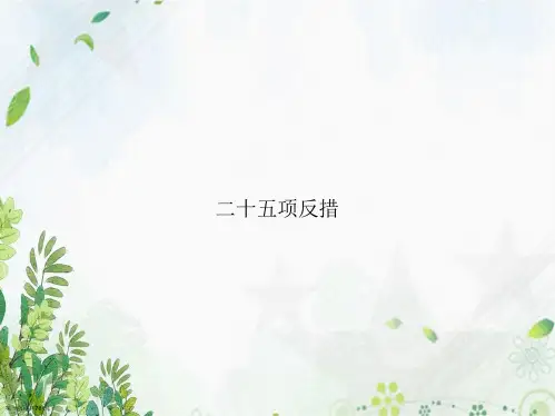 二十五项反措讲课文档
