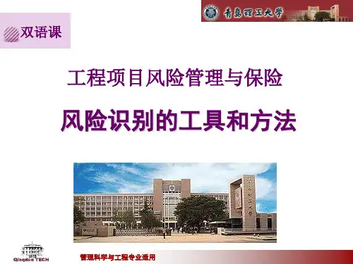 技术1风险识别的工具和方法