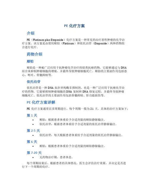pe化疗方案