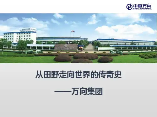 浙江万向集团案例市场营销案例国际市场营销案例