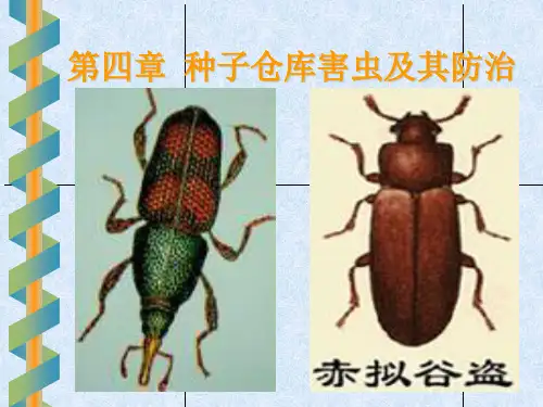 种子仓库害虫及其防治