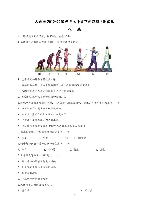 人教版2019-2020学年七年级生物下学期期中测试卷二(含答案)