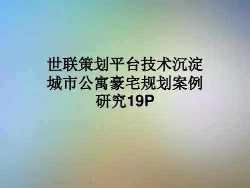 世联策划平台技术沉淀城市公寓豪宅规划案例研究19P