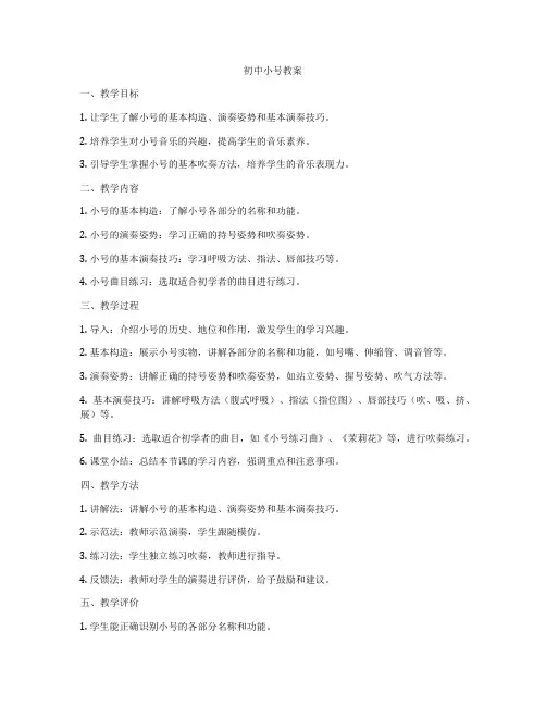 初中小号教案
