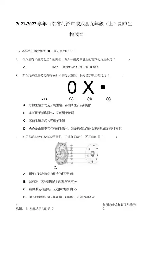 2021-2022学年山东省菏泽市成武县九年级(上)期中生物试卷(附详解)