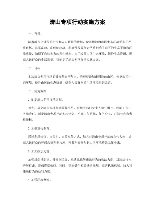 清山专项行动实施方案
